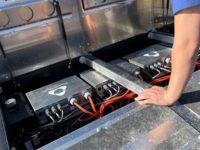 Toiletteuse électrique Dameuse1