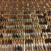 LiFePO4 VHP (Very High Power) prismatic matched cells (50C discharge rate)